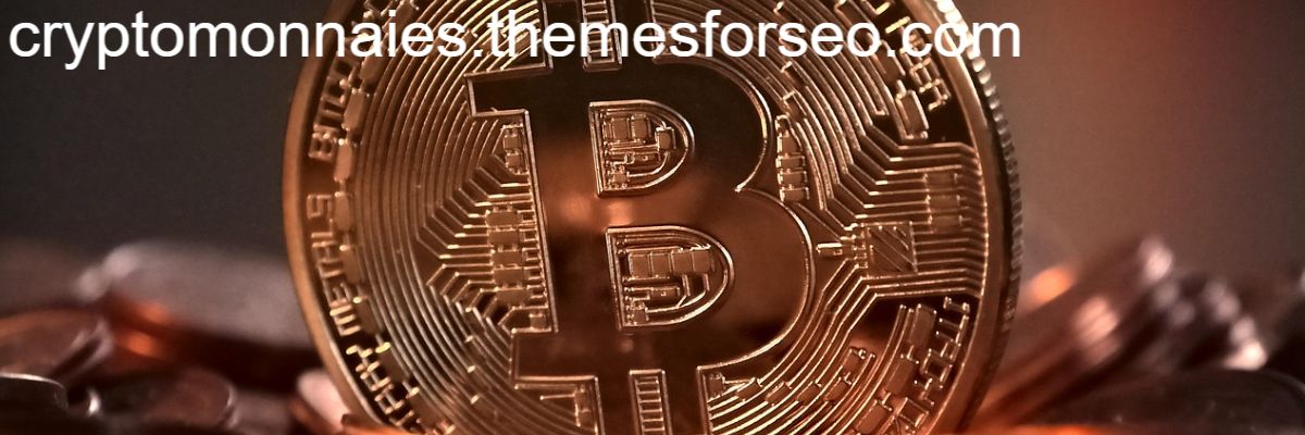 cryptomonnaies.themesforseo.com